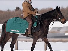 �����꡼�����å�_20260312