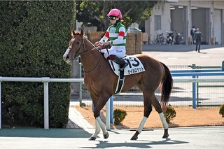 ����������å�_20260125