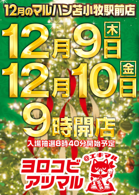 12.9_2