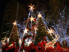 img_640551_20037069_0