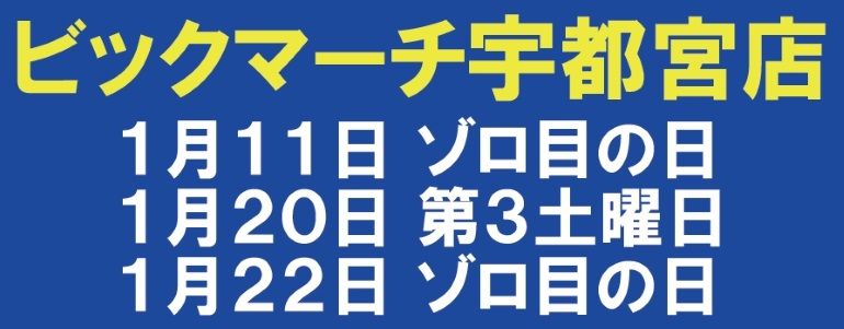 【ハナビとバーサスが全6でした】2月11日 ビクマ宇都宮 結果報告