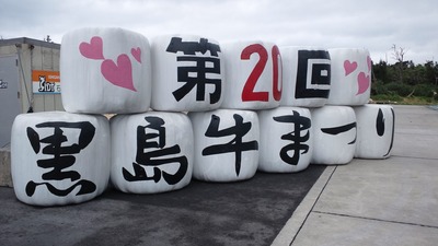 04fd00b3.jpg