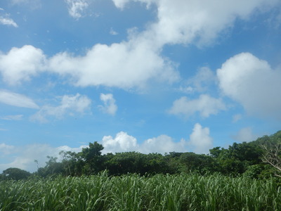 DSCN1416