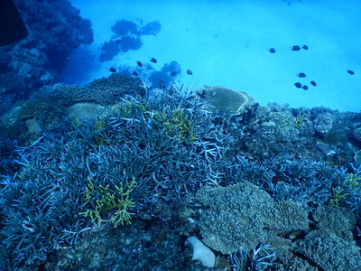 DSCN2009