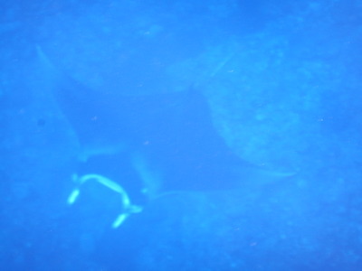DSCN6041