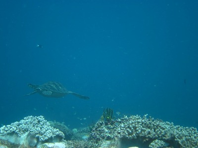 09d99cdf.jpg