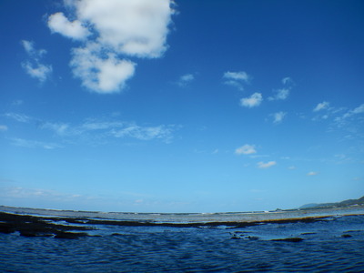 DSCN5985