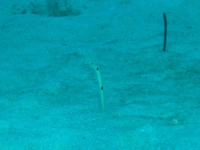 PA210056