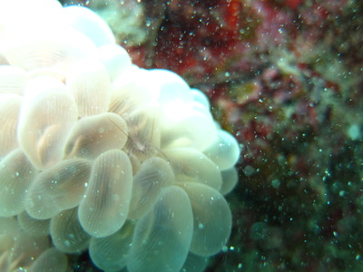 6 �ޤ�������� 064