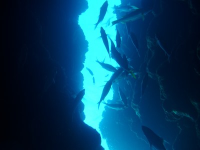 P4260027