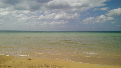IMAG0145