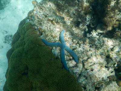 DSCN5871
