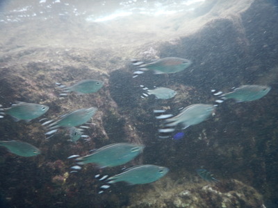 DSCN3876