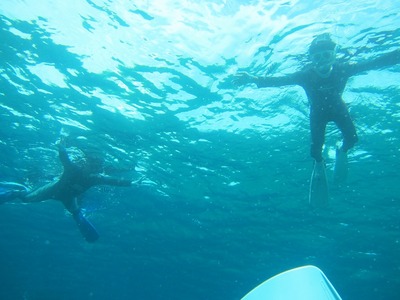 285f44c3.jpg