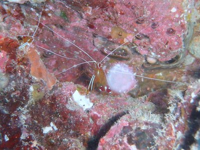 PA210070