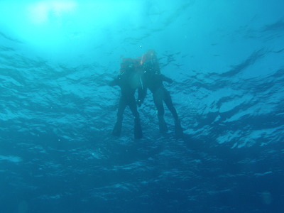 P8130053