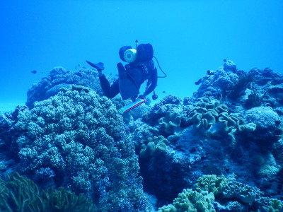 DSCN1981