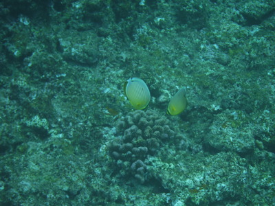 DSCF2755