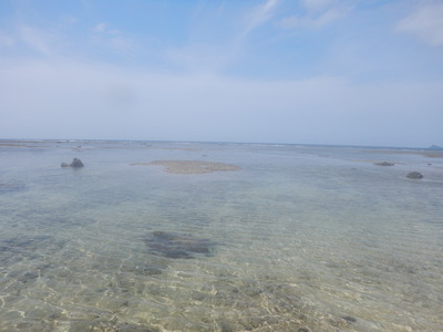 DSCN9839