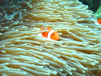 40d019f4.jpg