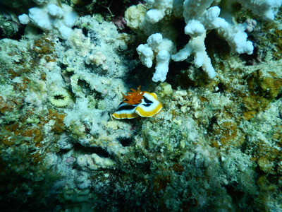 DSCN3512