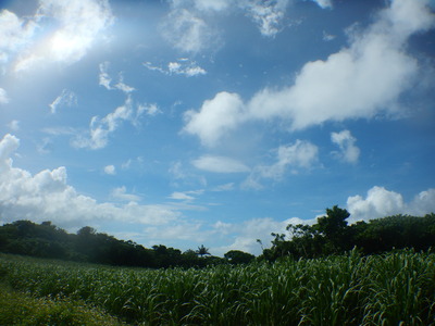 DSCN1417