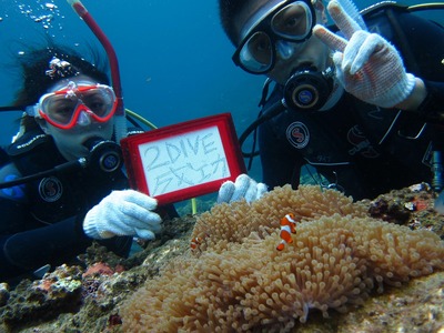 5227ea6f.jpg