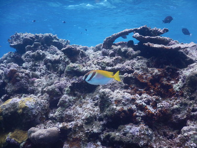 DSCN0386