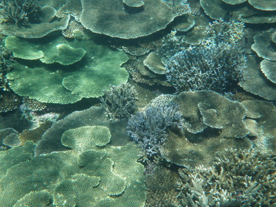 P8070054