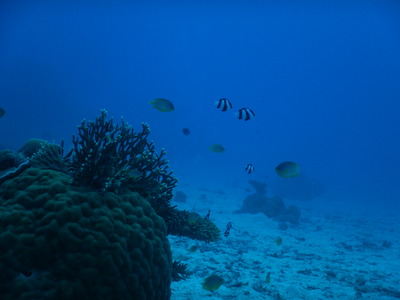 DSCN0070