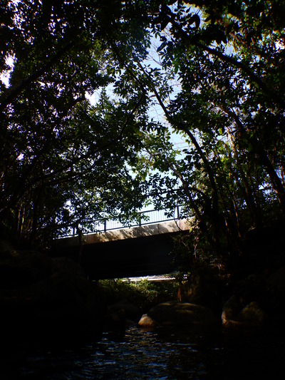 DSCN6007