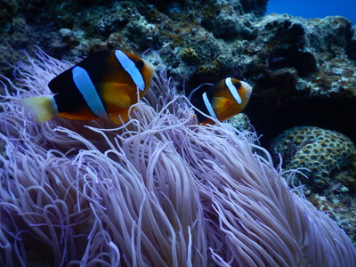 DSCN0116