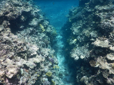 DSCN1002