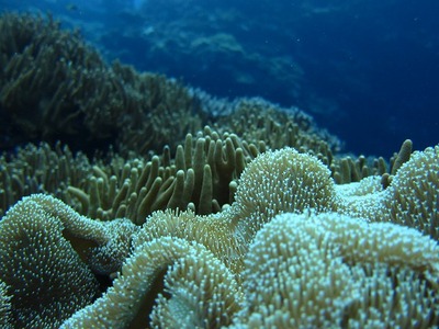 6239b1fd.jpg