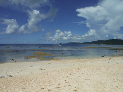 DSCF0483
