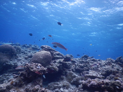 DSCN0365