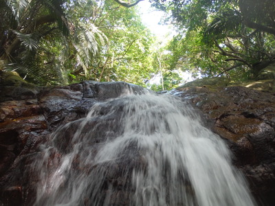 DSCF0548