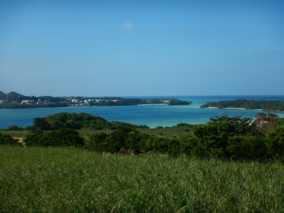 DSCN5917