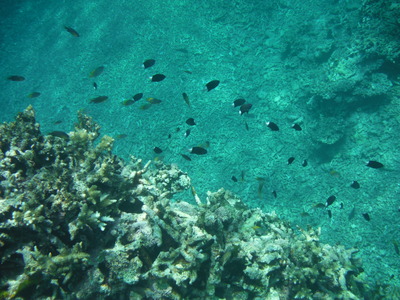 DSCF0772