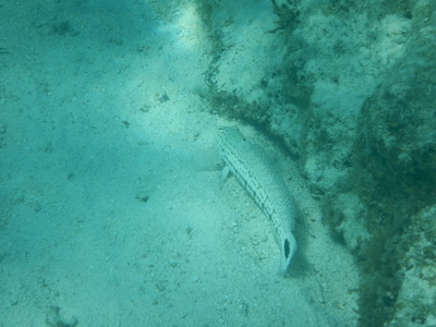 DSCN5823