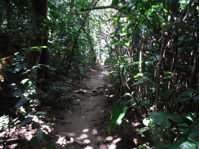 DSCF0482