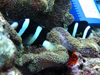7b5f259e.jpg