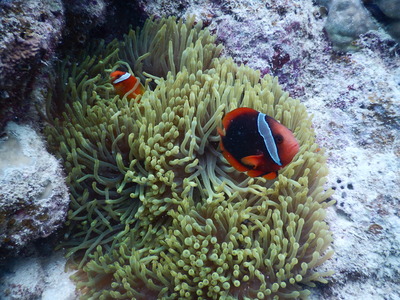 DSCN8295