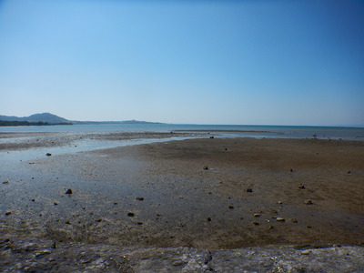 DSCN5766