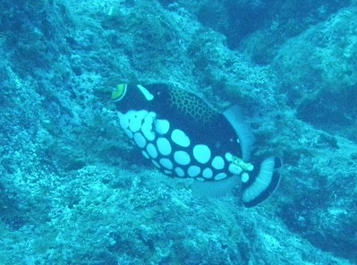 P3260014