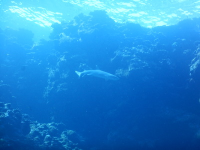 DSCN7039
