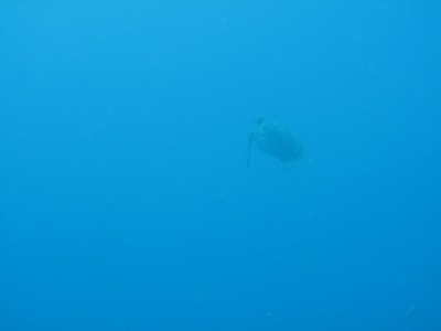 14���١�����礤 004
