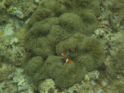 DSCN0259