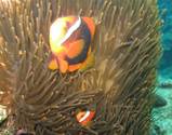 2009 02 15_�ޤꤳ������θ�_0031-s