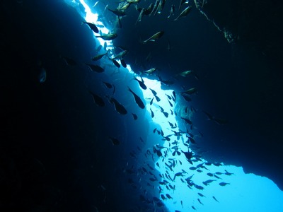 96a33da0.jpg
